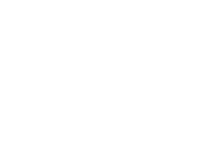 White logo - no background